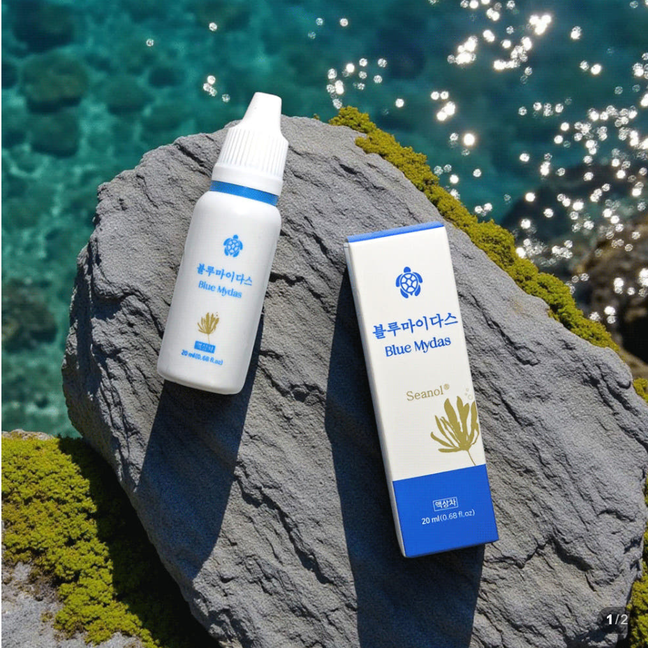 블루마이다스 감태추출물 고농축 액상차 5방울 씨폴리놀 감태킹 BlueMydas 20ml