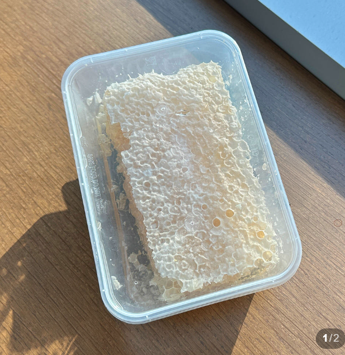 국내산 100% 오복벌꿀농장 벌집꿀 밀랍꿀 벌꿀집 먹는법 300g