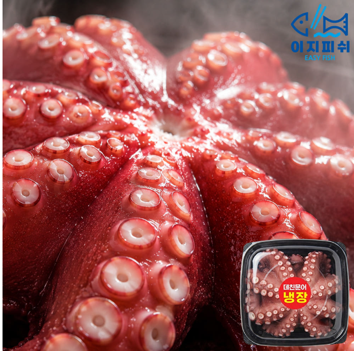 국내산 냉장 자연산 제수용 손질 자숙 돌문어 850g