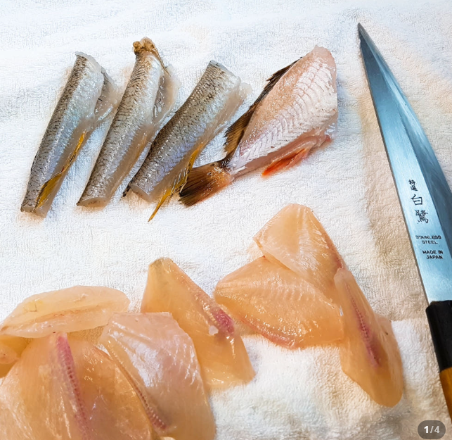 자연산 잡어 모듬회 3인분(회 600g, 옵션 2~5인분) 아침 손질 저녁 식탁 삼천포산
